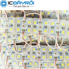 Led cụm 4 bóng 5054