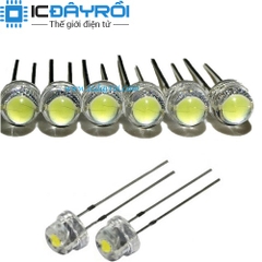 Led lùn 8MM 0.5W Led lùn 8MM 0.5W