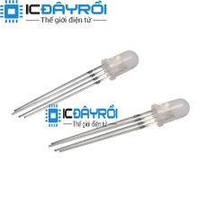 Led đục 5MM RGB Cathode