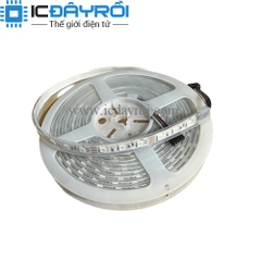 Led dây 5050 RGB bọc silicon chống nước (cuộn)