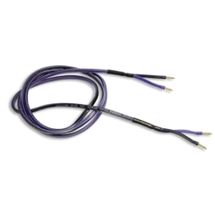 Dây Loa Analysis Clear Oval Dây Loa Analysis Clear Oval