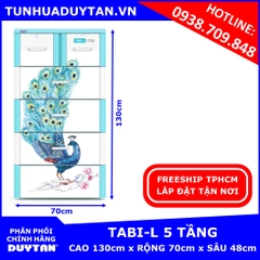 Tủ nhựa Duy Tân TABI-L 5 tầng ( Dương Công )