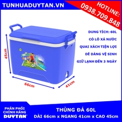 Thùng đá Duy Tân 60L (Dương)