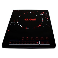 Bếp từ GL-2016