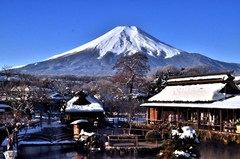 Tuyến đường vàng mùa đông từ Nagoya - Nara - Osaka - Kyoto - Núi Phú Sĩ - Tokyo - Việt nam. (5 Ngày 4 đêm)