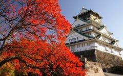 Tour mùa thu lá đỏ từ Osaka --> Kobe --> Kyoto --> Nagoya --> Phú sĩ --> Tokyo --> Vietnam. (6 Ngày 5 Đêm)