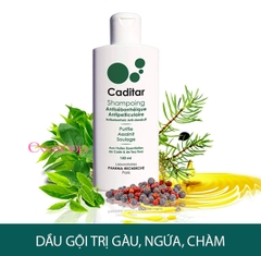 Dầu gội cho da đầu ngứa, gàu, viêm da tiết bã Caditar Shampoo Anti Dandruff 150ml