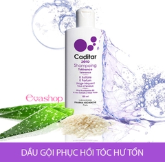 Dầu gội phục hồi da đầu và tóc hư tổn Caditar Shampoo Zero Tolerance 150ml