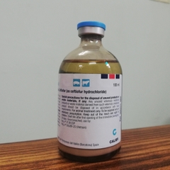 Kháng sinh Ceftiomax - điều trị viêm nhiễm khuẩn nặng