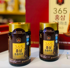 Cao Hồng sâm Đông trùng hạ thảo 365 GOLD HANSUSAM Korea