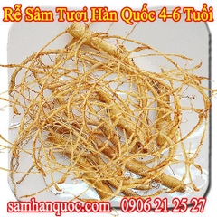 Rễ Nhân Sâm Hàn Quốc tươi