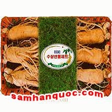 Nhân Sâm Tươi Hàn Quốc nửa kg - 6 củ / kg