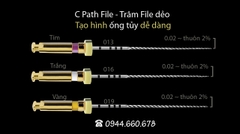 TRÂM MÁY dẫn đường C-Path file, Glide Path - ĐIỀU TRỊ NỘI NHA