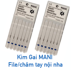 KIM GAI MANI điều trị nội nha