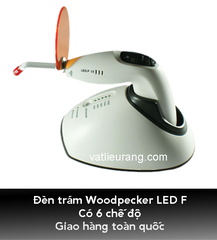 Đèn Trám WoodPecker LED F