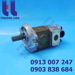 SDYB607L165 hydraulic pump