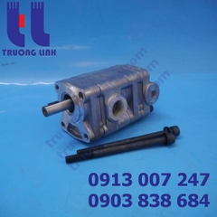 YPD1-2525A2D2-L038 HYDRAULIC PUMP