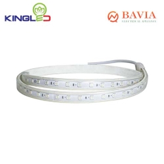 Led dây RGB Kingled EC-LD-7-5050-RGB Led dây RGB Kingled EC-LD-7-5050-RGB