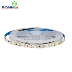 Led dán DC12V Kingled 12W