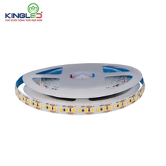 Led dán DC12V Kingled 18W