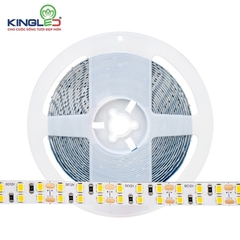 Led dán DC12V Kingled 22W