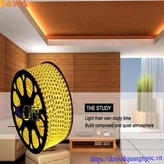 LED DÂY 5050-DR5050 LED DÂY 5050-DR5050