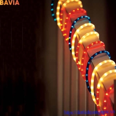 Led dây ống tròn cao cấp BAVIA ML-NEOT100-A