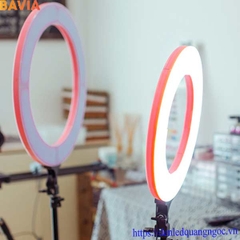 Đèn livestream ML-RL06 Đèn livestream ML-RL06