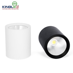 Đèn ống bơ chiếu rọi Kingled 20W (PERIDOT)