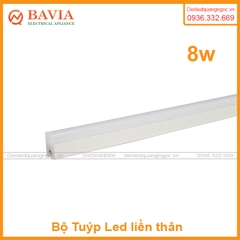 Bộ LED Tuýp liền thân T5 0.6m 8W