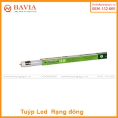 Bóng đèn LED Tuýp rạng đông T8 0.6m 10W thủy tinh Bóng đèn LED Tuýp rạng đông T8 0.6m 10W thủy tinh
