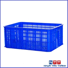 SÓNG HỞ 2T5