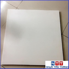 THỚT NHỰA 600X600X25 MM PE