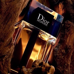 Nước hoa DIOR Homme Intense Eau de Parfum 100ml