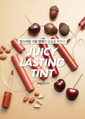 Son kem Romand Juicy Lasting Tint Autumn Fruit Series 5.5g