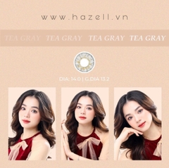 Lens TEA310 Gray