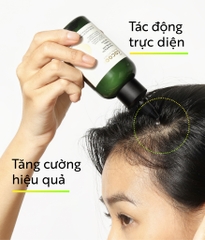 Nước dưỡng tóc tinh dầu bưởi Cocoon 140ml (Phiên bản nâng cấp)
