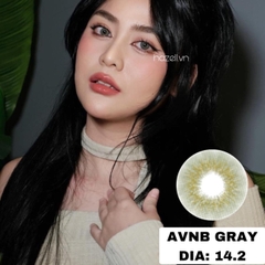 Lens AVNB210 Gray