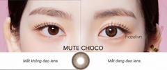 Lens Mute Choco