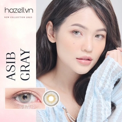 Lens ASIB310 Gray