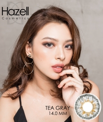 Lens TEA310 Gray