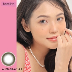 Lens AUFB210 Gray