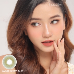 Lens AVNB210 Gray