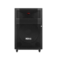 Loa Kéo karaoke Acnos CBZ16GN ( Bass 40, 150/750 wat )