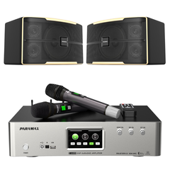 Dàn karaoke Paramax ( Loa Z-2500, Ampli Z-A450 )