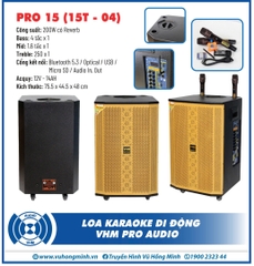 Loa kéo VHM 15T04 - Bass 40cm