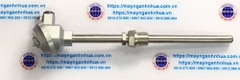 Can nhiệt PT 100 ren 27 phi 16 dài 300