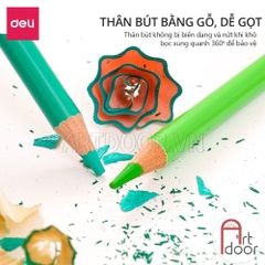 Bộ chì màu Khô DELI gốc dầu (hộp thiếc)