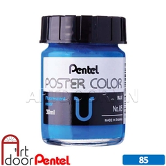 Màu vẽ Poster PENTEL Hũ thủy tinh lẻ (30ml)