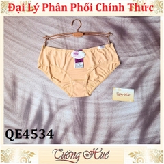 Quần lót nữ annie 4534 Trơn Thun Lạnh Lưng Thấp.